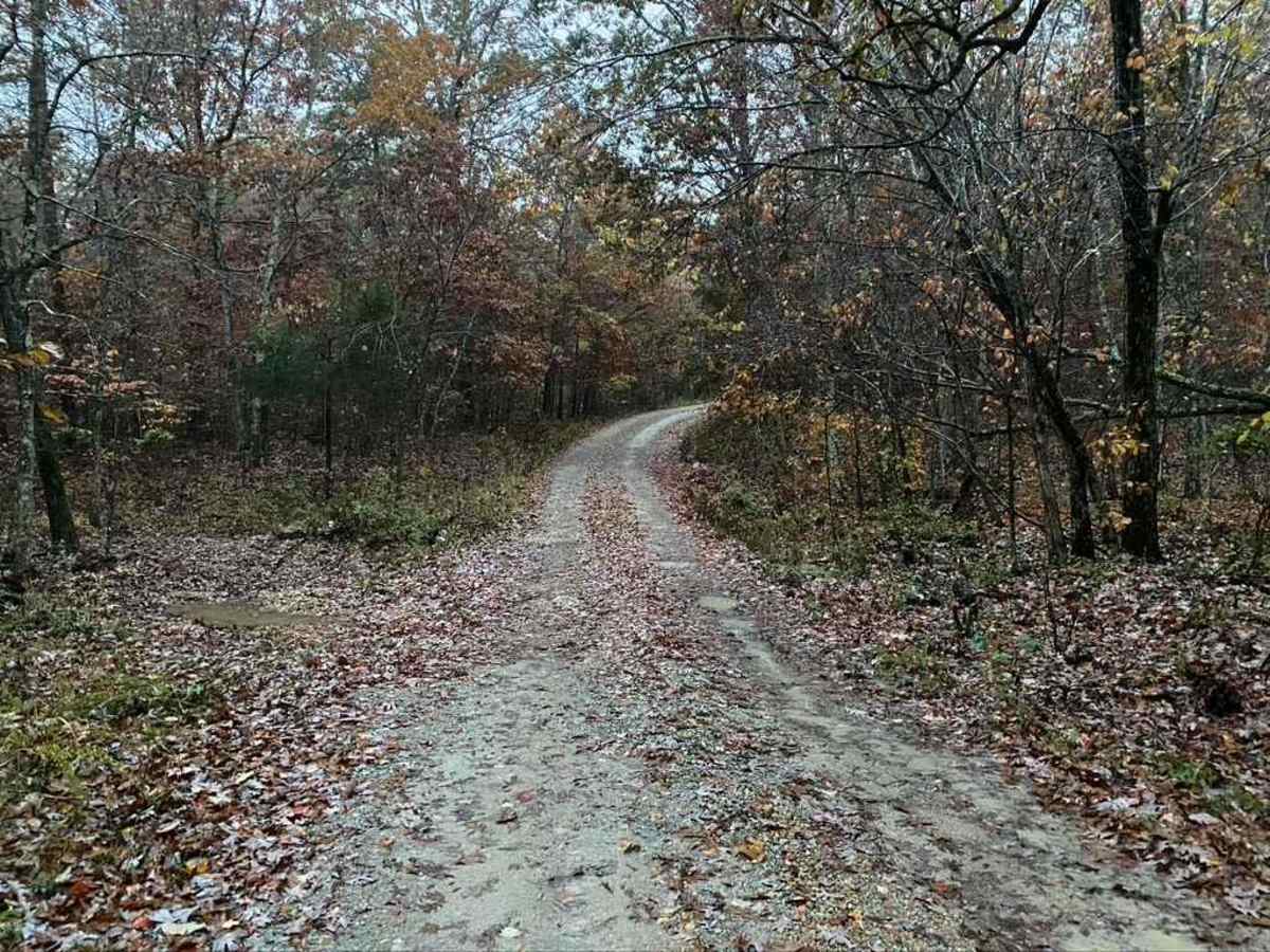 Burns Mountain - FS 2136 photo 3
