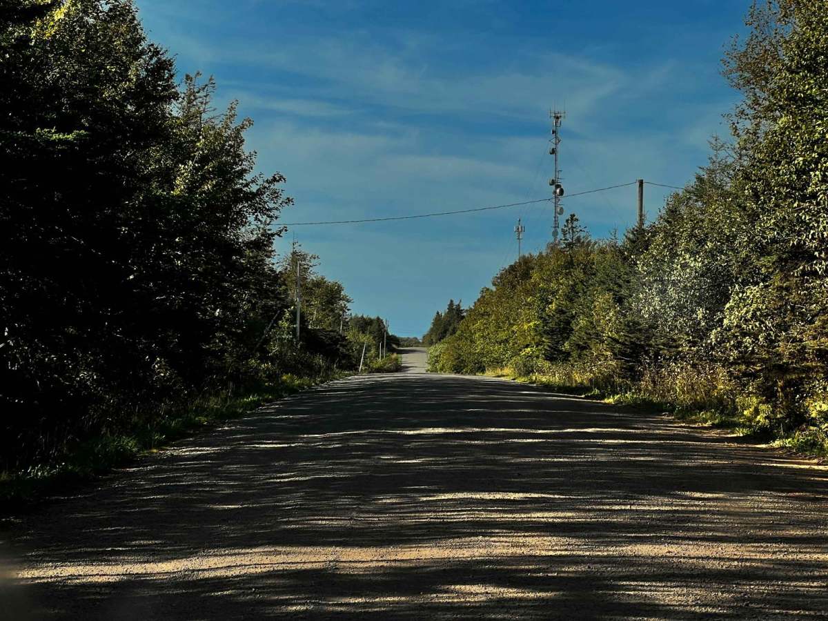 PEI Two Mile Run trail photo