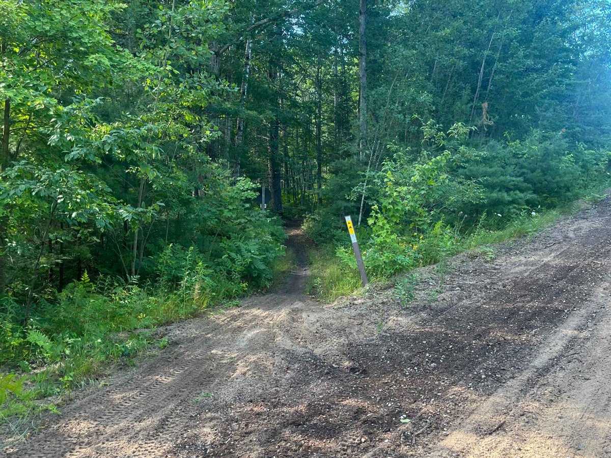 Red Bridge Trail photo 3