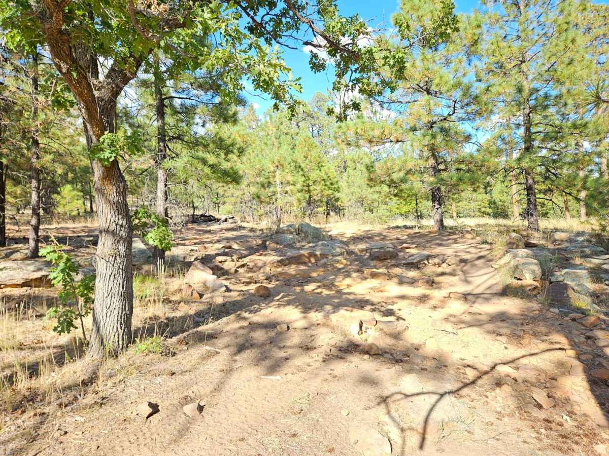 Forest Lakes to Sheep Creek Point photo 4