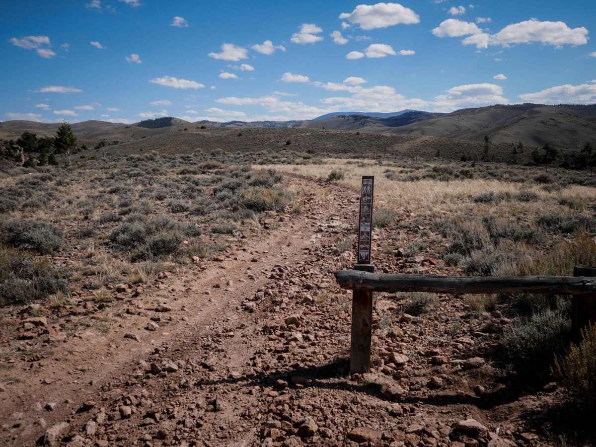 Outback photo 6