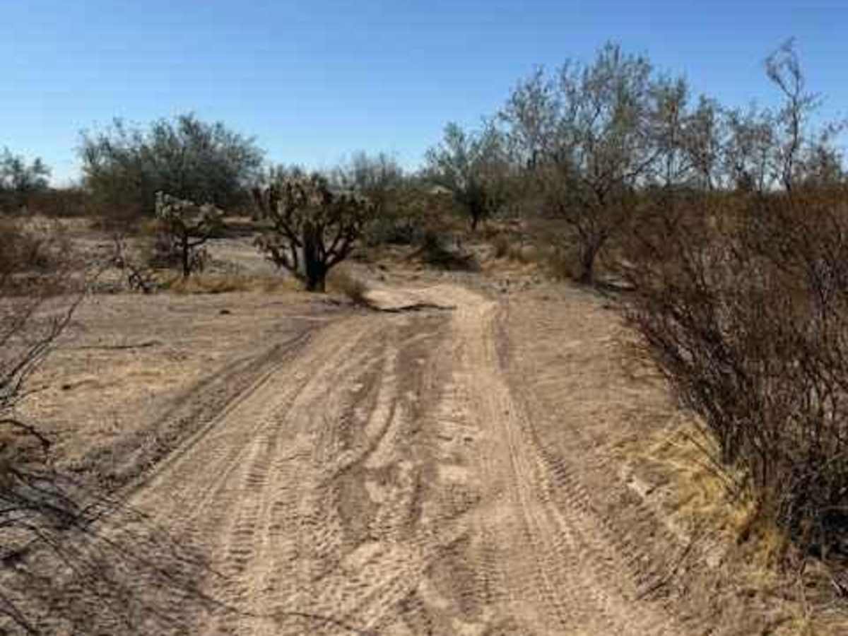 Nw2230 trail photo