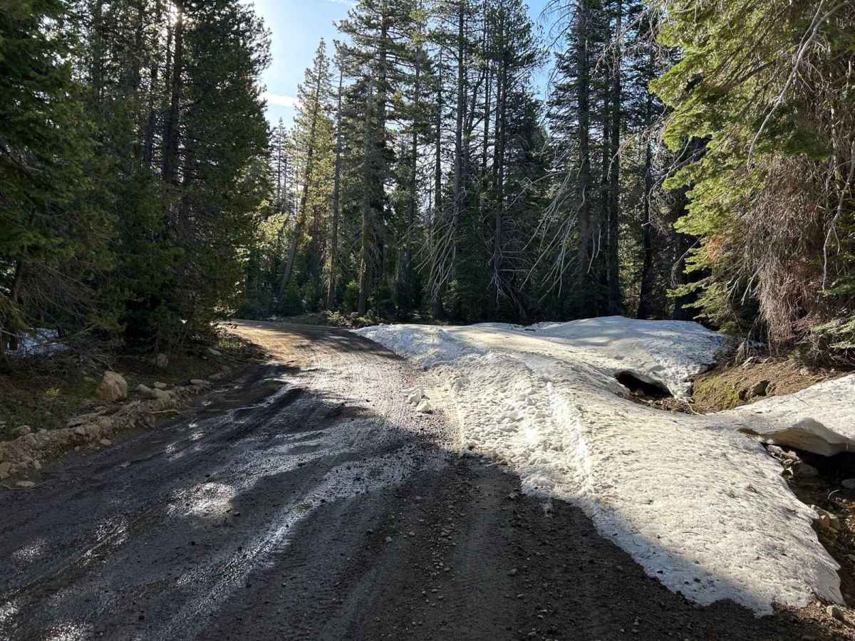 Meadow Lake Road photo 6