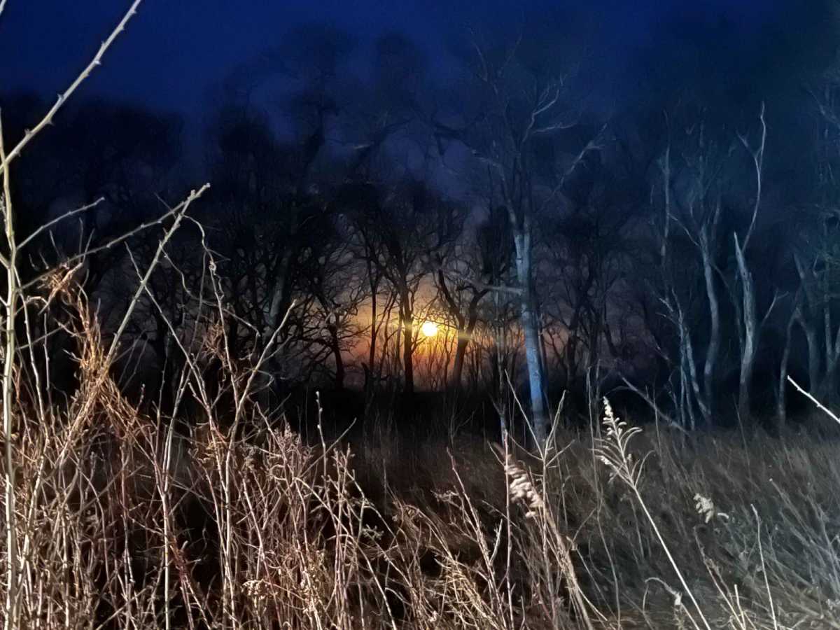 Allegheny photo 4