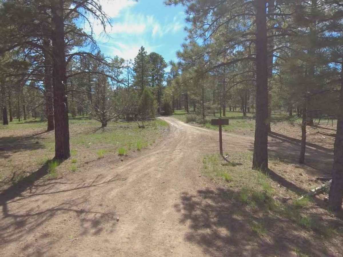 Peterson Point-NFR30697 photo 2