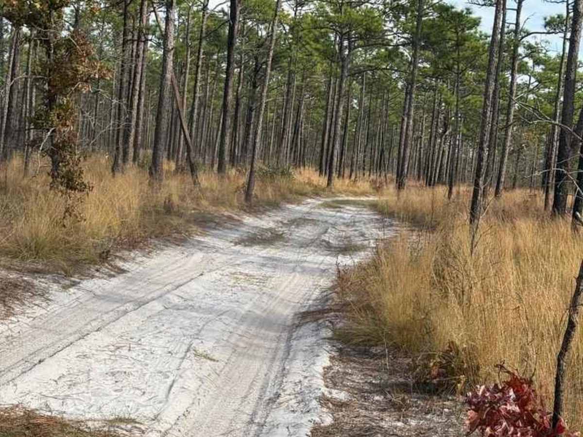 Bogue Road Spur photo 2