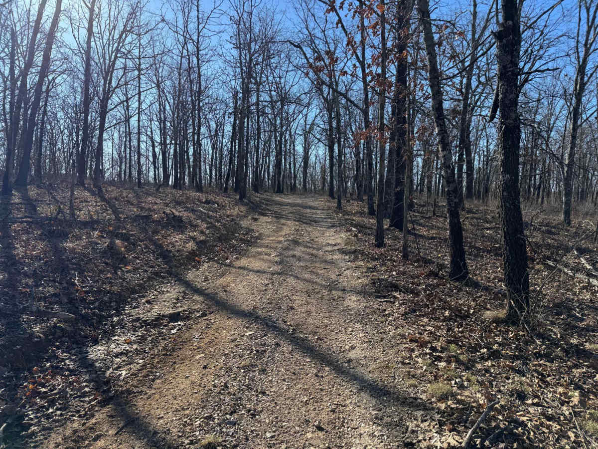 Brushy Ridge Spur A - FSR 606A photo 3