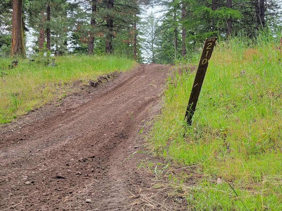 FR 3810 - Funk Mountain photo 6