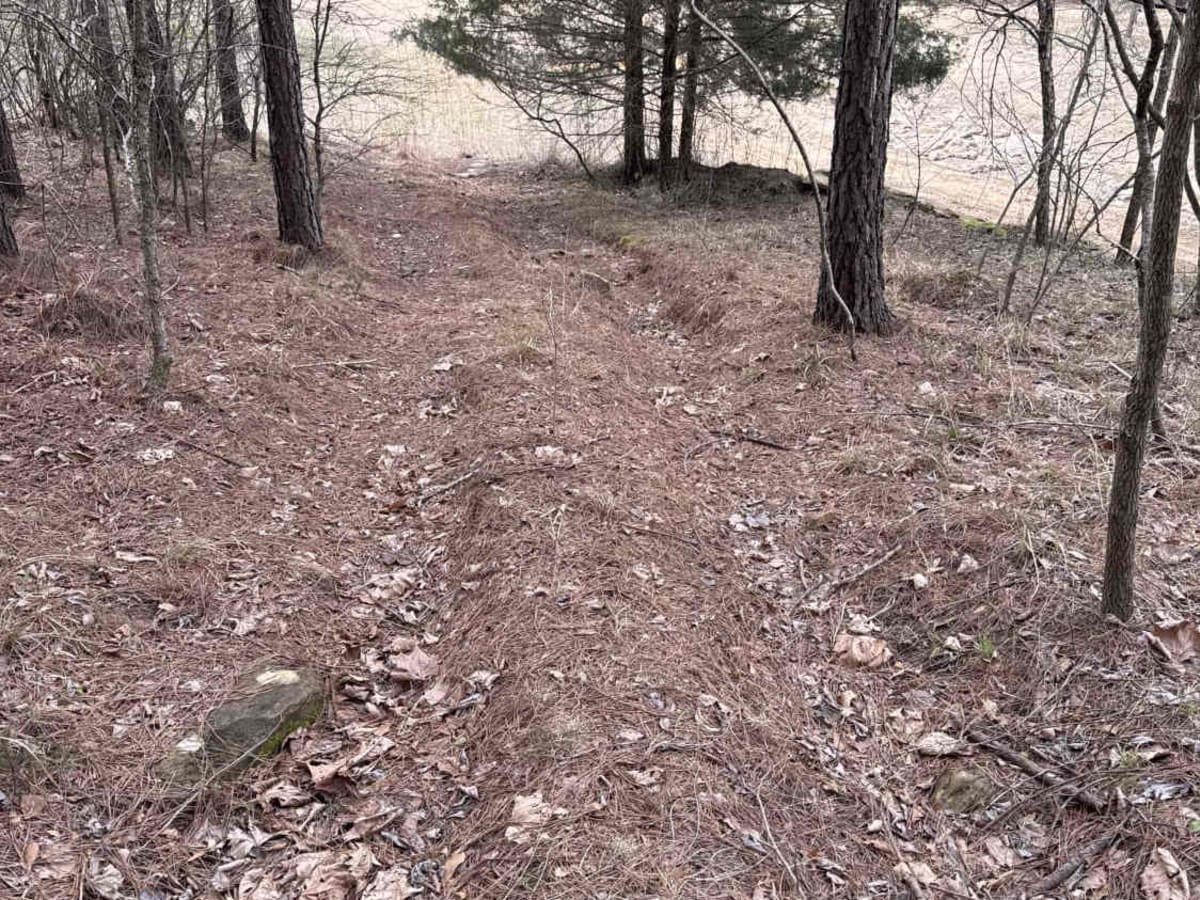 #7c Diamondback - Easy Out trail photo
