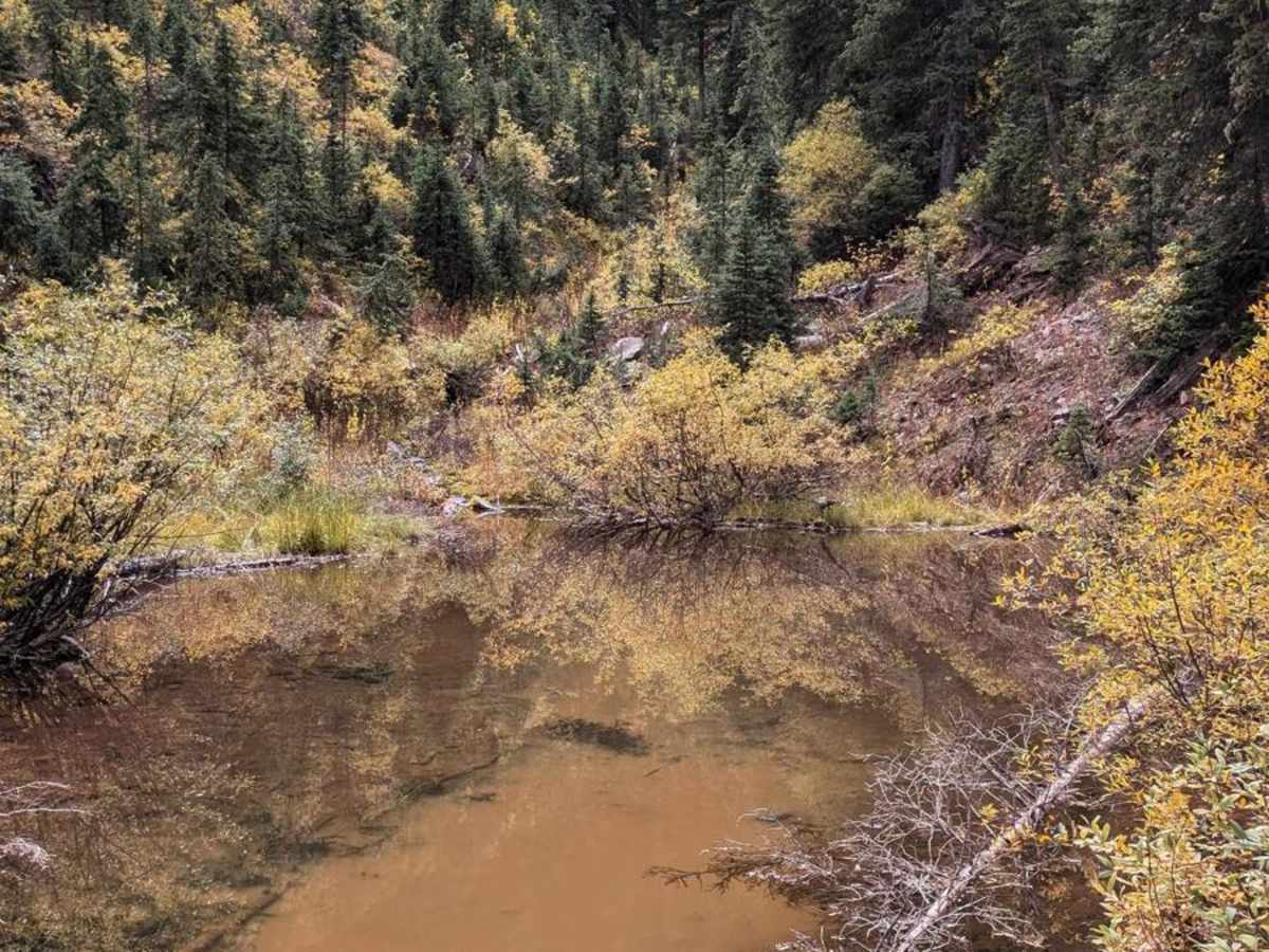 Cascade Divide Road photo 6