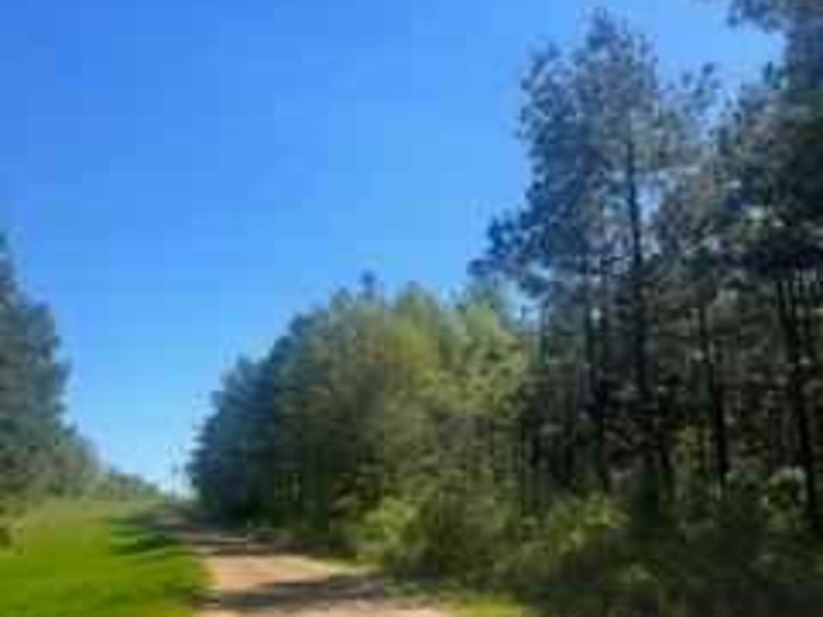 Winnfield Road photo 2