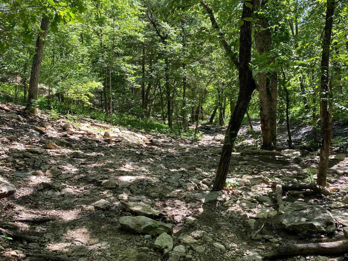 Sprattsville Shelves trail photo