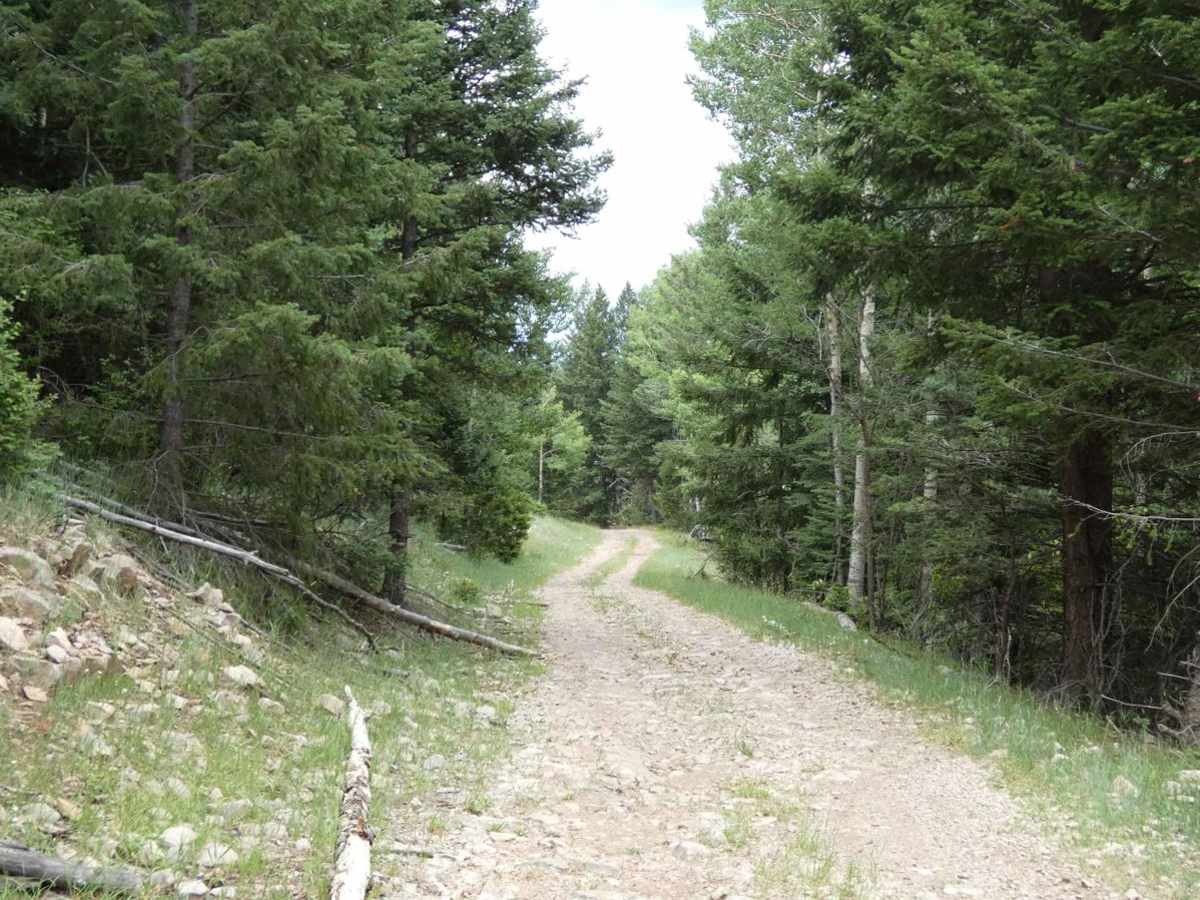 Wayne Canyon photo 3