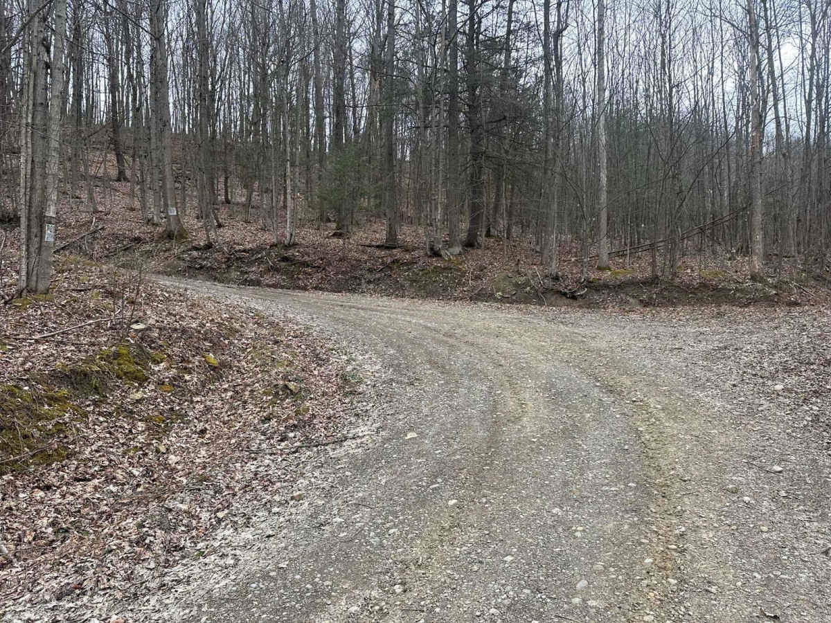 Spencer Hill Road photo 6
