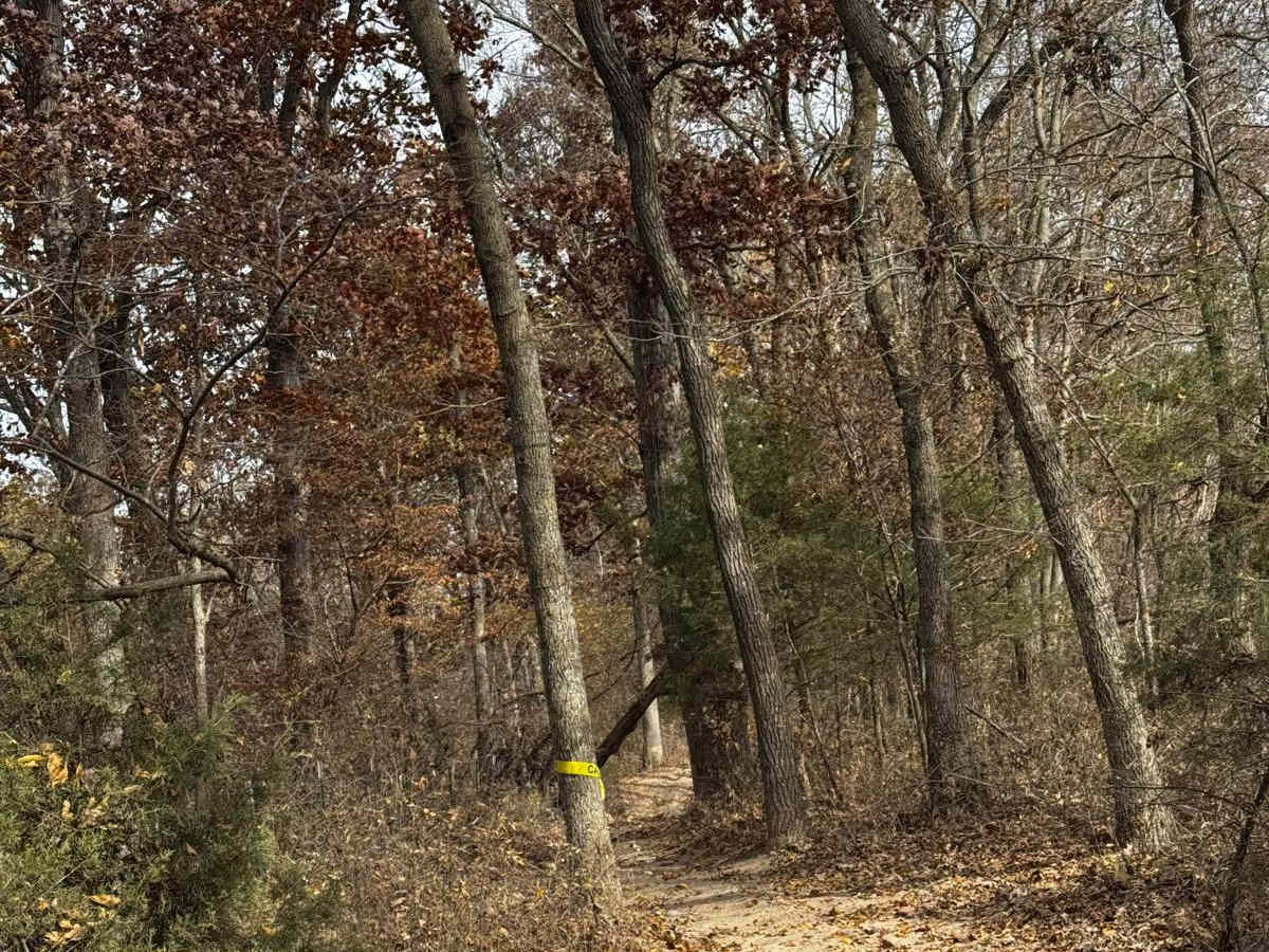 Bounty Hill Access photo 3