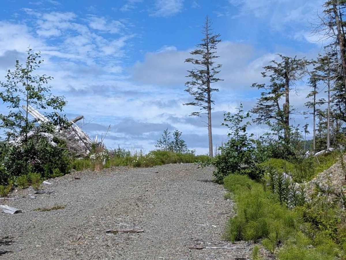 Hecht Wildflower Ridge Spur photo 6