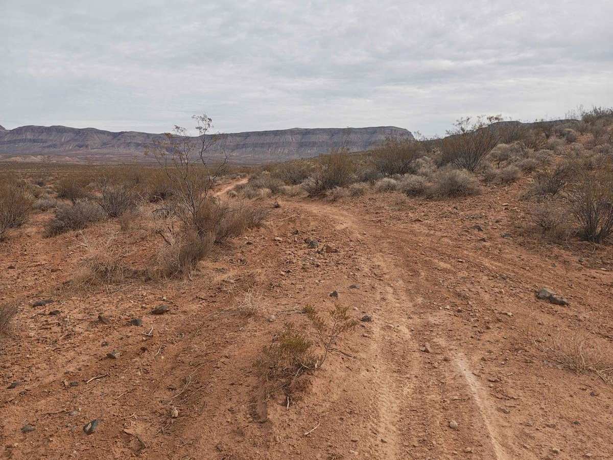 Side Trip - Single Track photo 5