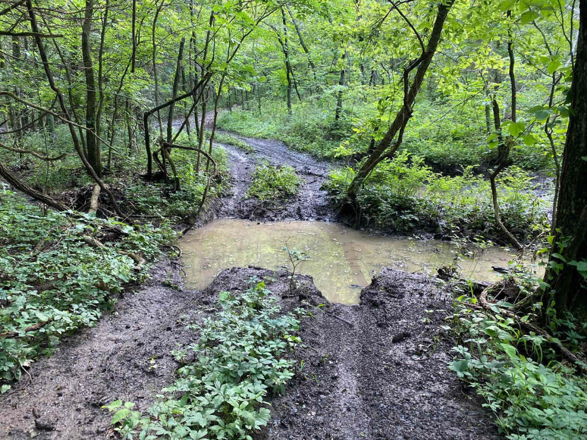Bridge Trail photo 2