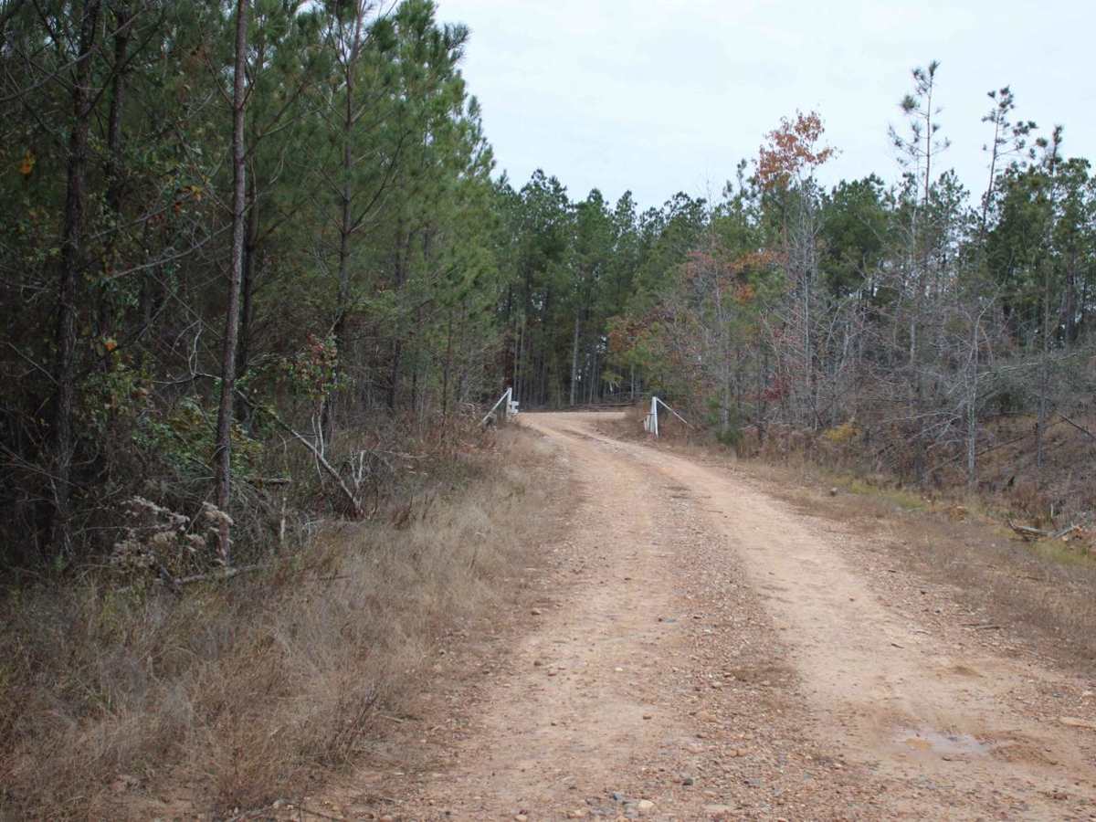 Buck Valley photo 2