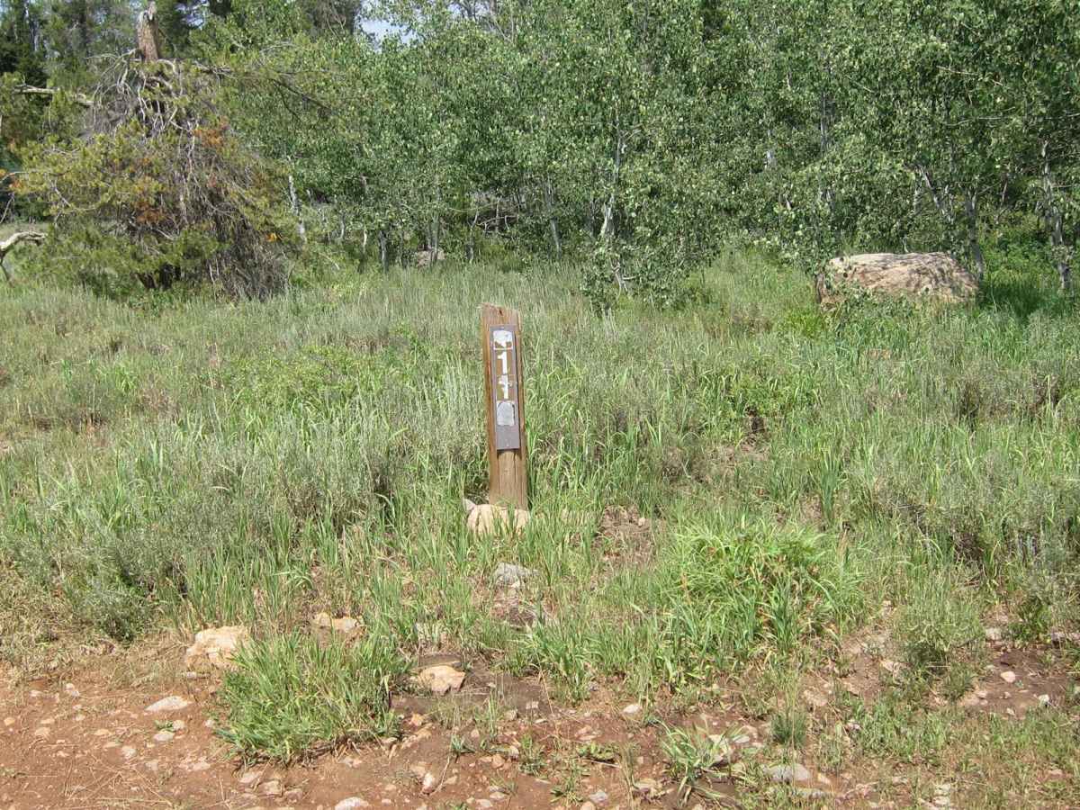 Sink Hollow trail photo