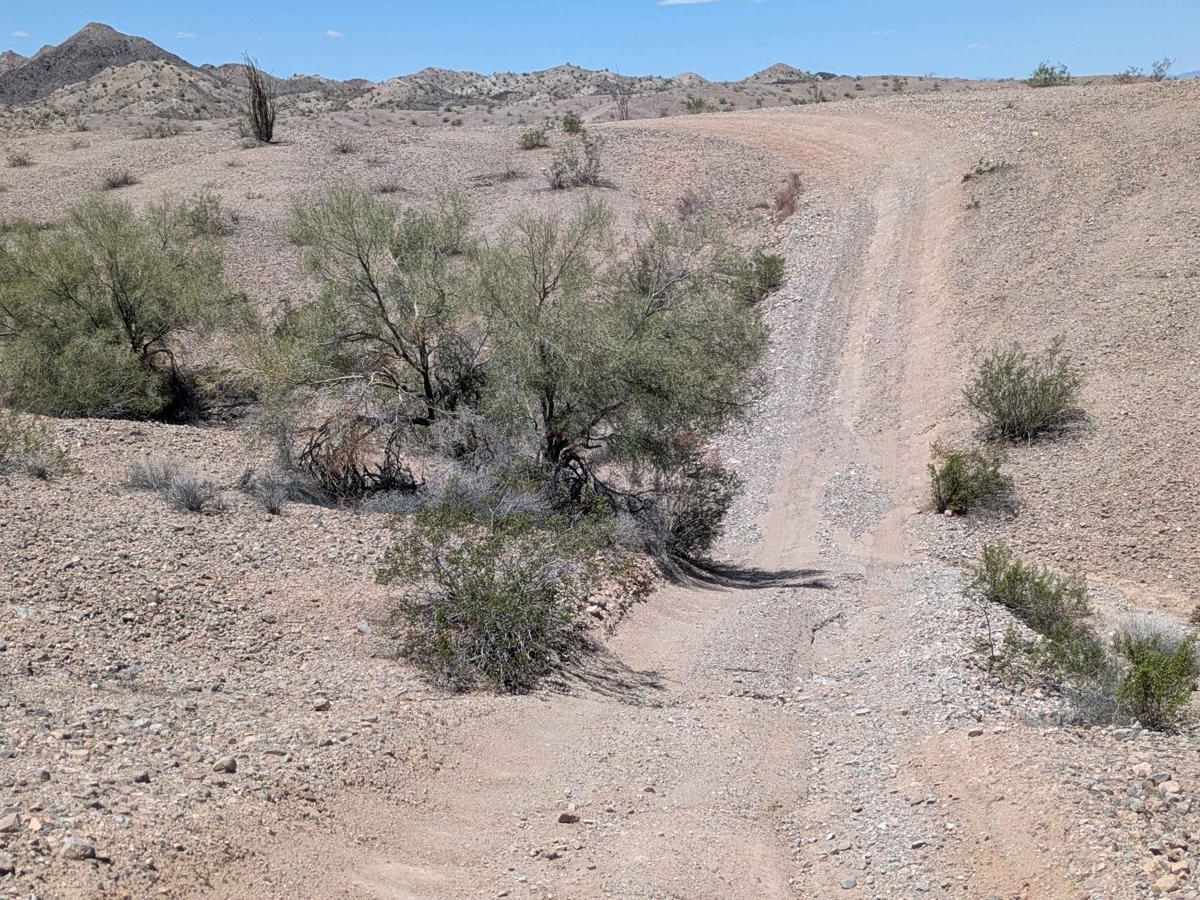 HN452 photo 2