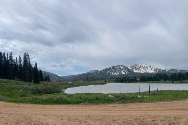 Whitney Road