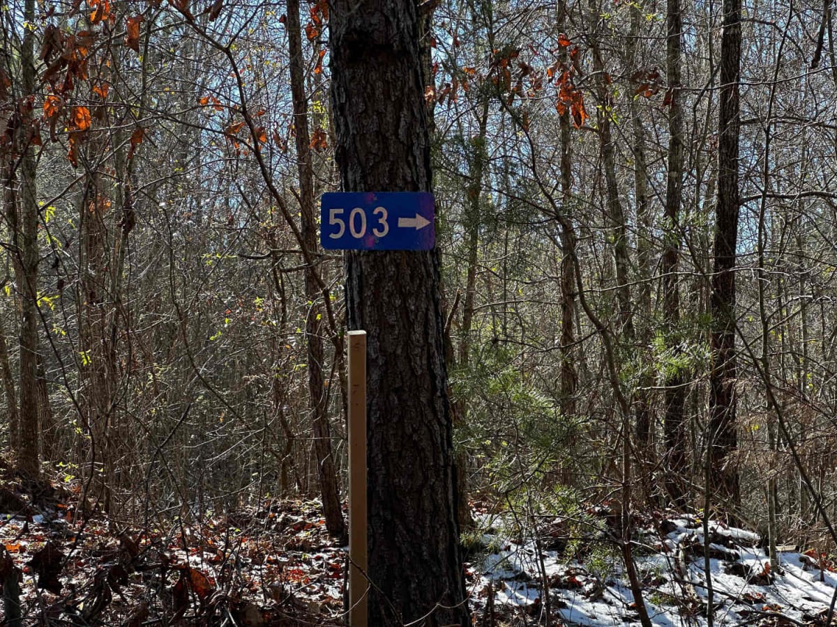 503A trail photo
