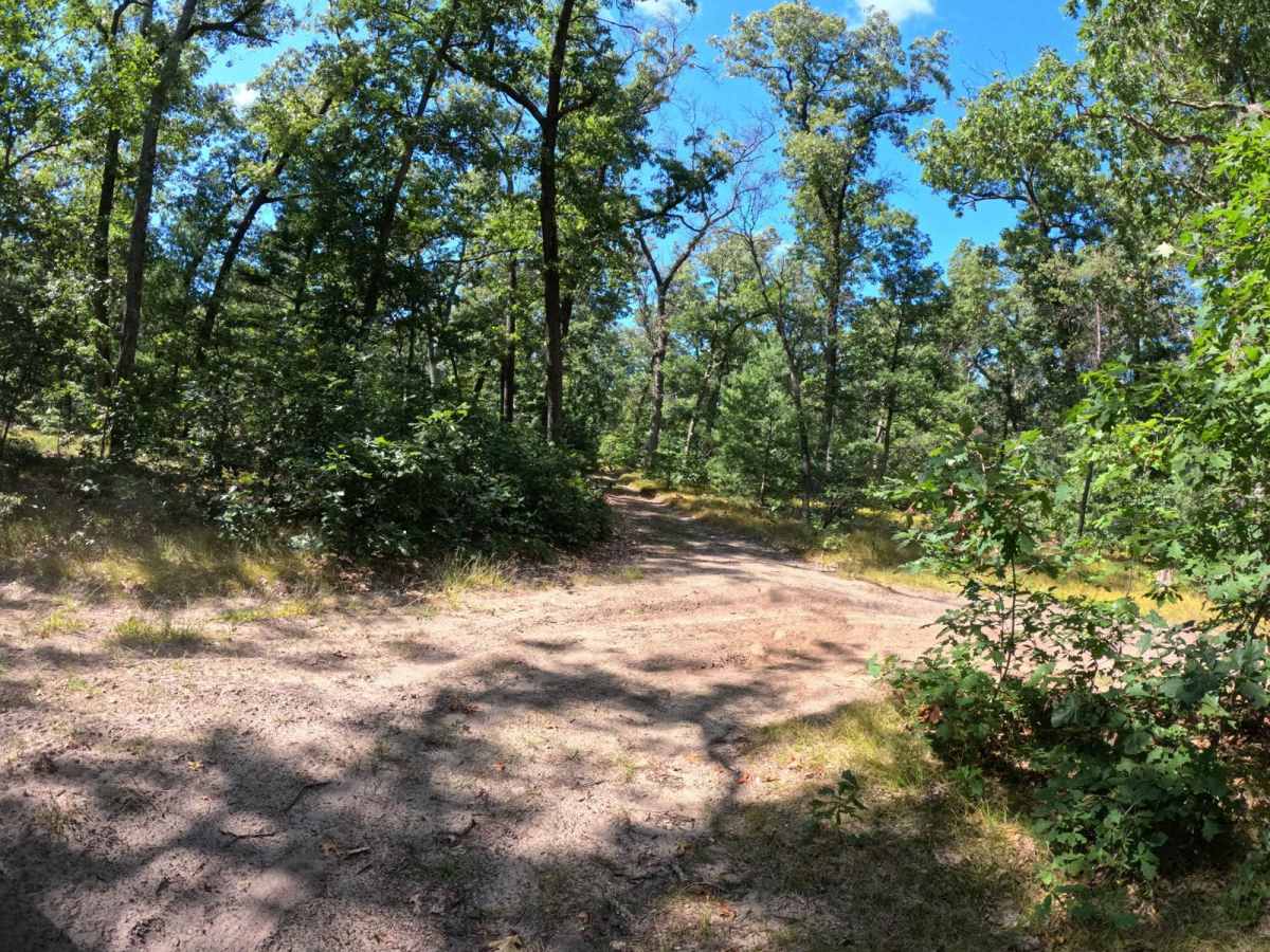 FR 9185 trail photo