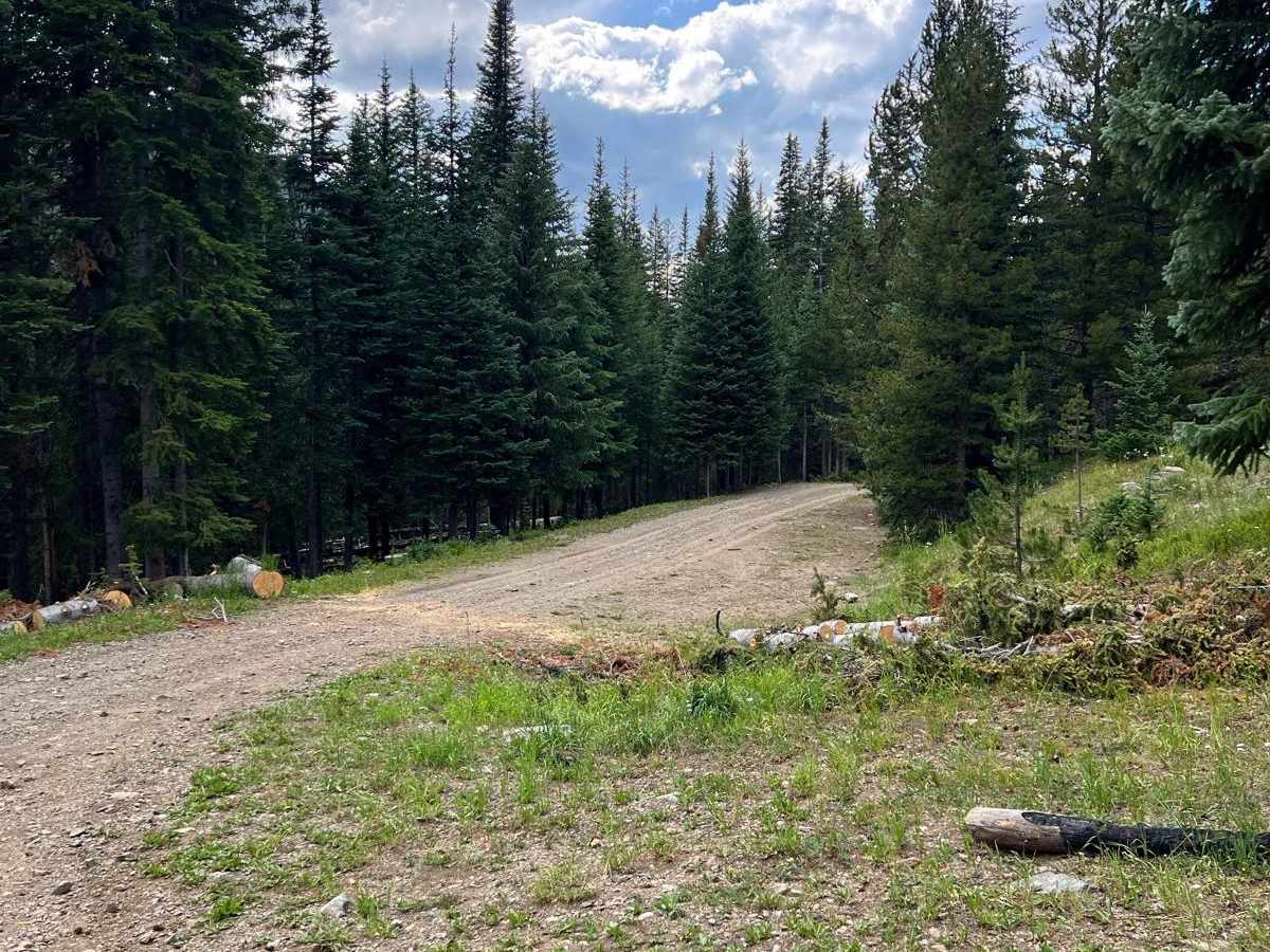 Lake Evelyn Road - FS 136 photo 3