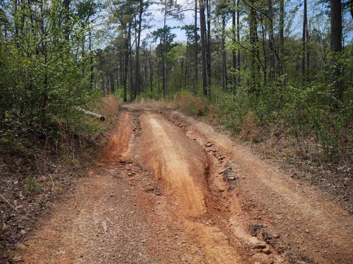 Black Oak Ridge Spur South photo 3