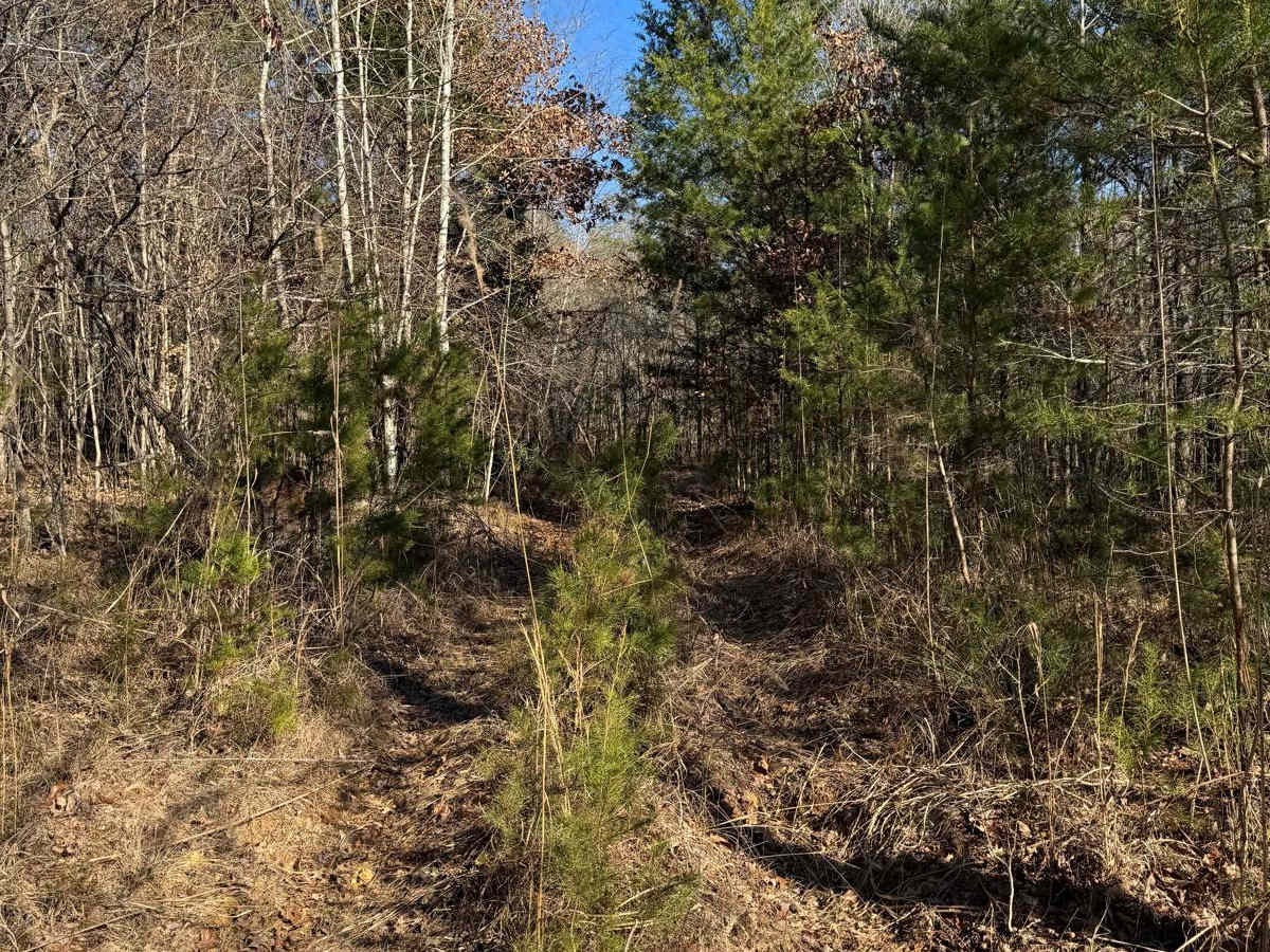 #59 BeltLine photo 2