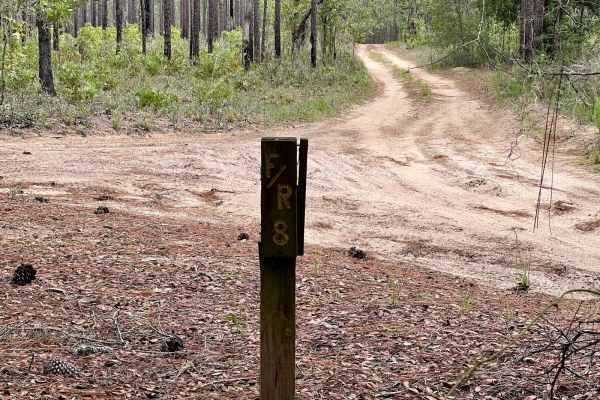 Crooms Wildlife Management | Trail 8