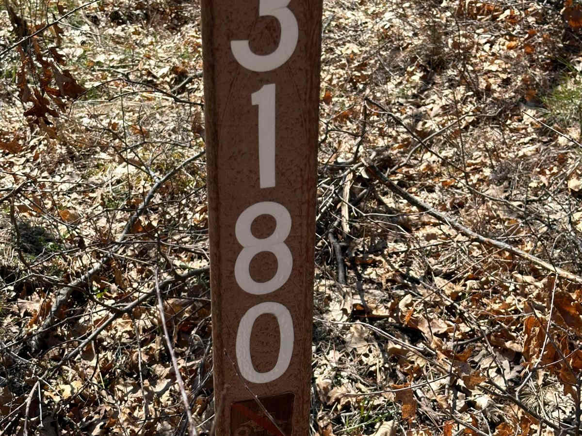 FS 3180 trail photo
