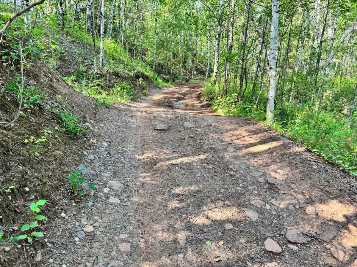 Berry Trail photo 4