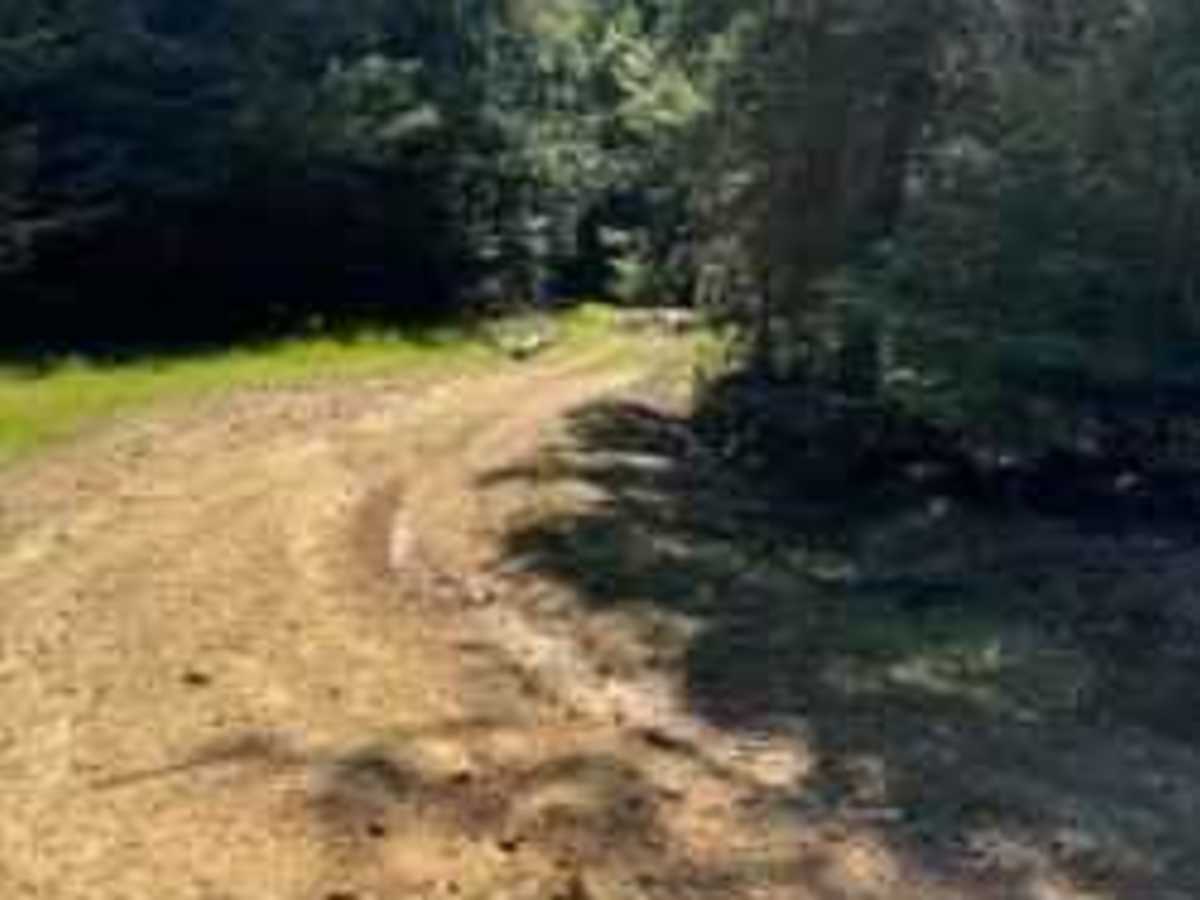 Ruby Creek photo 3