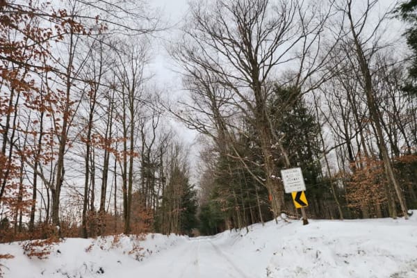 Albert J Woodward Memorial Forest Traverse