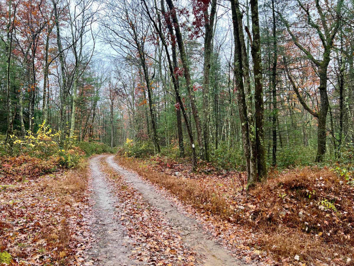 Pepper Run Road photo 2