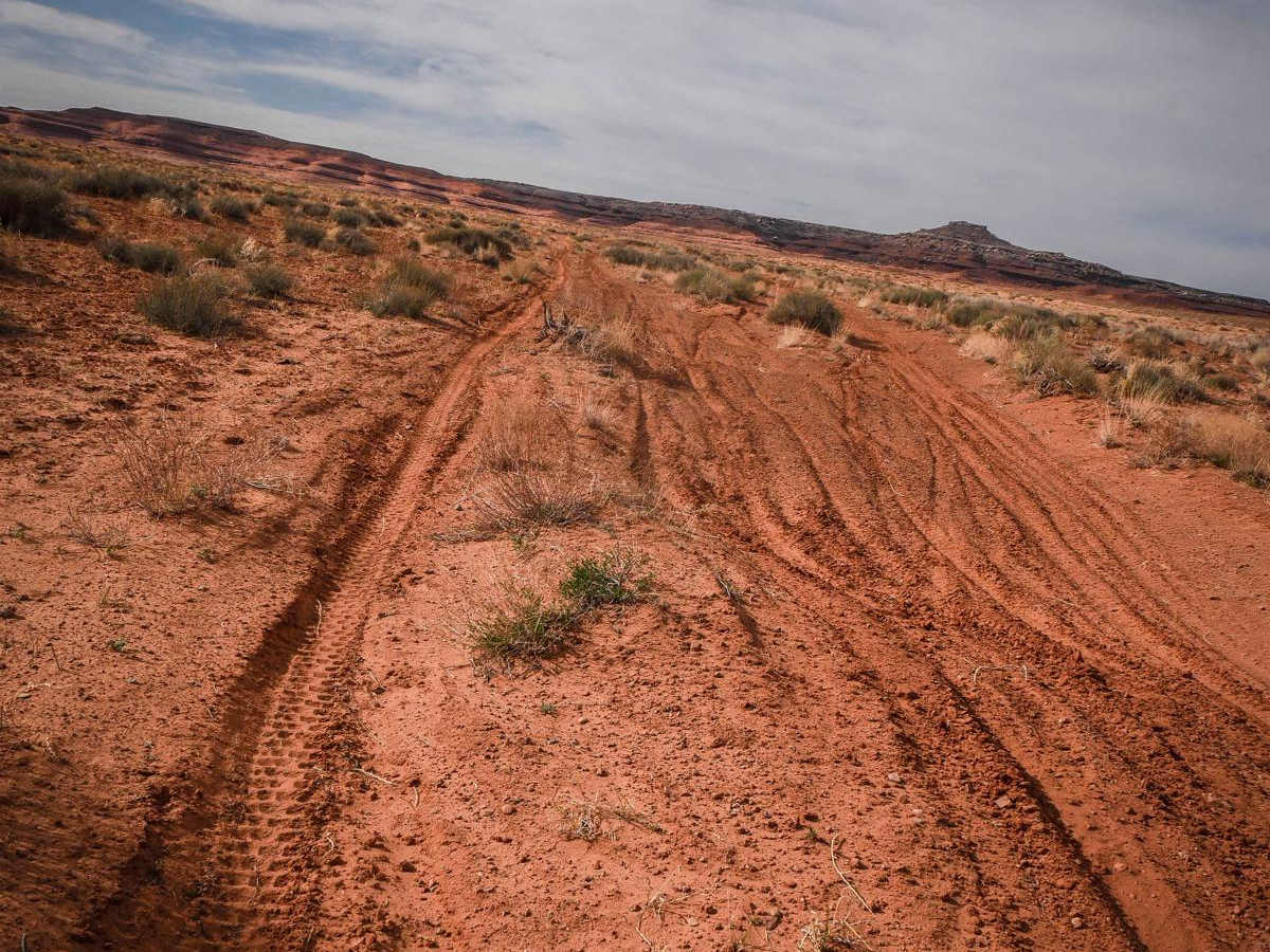 Saddle ATV Trail photo 5