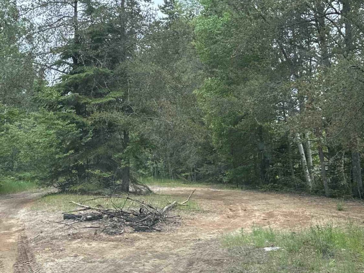 Trout Lake Spur photo 4