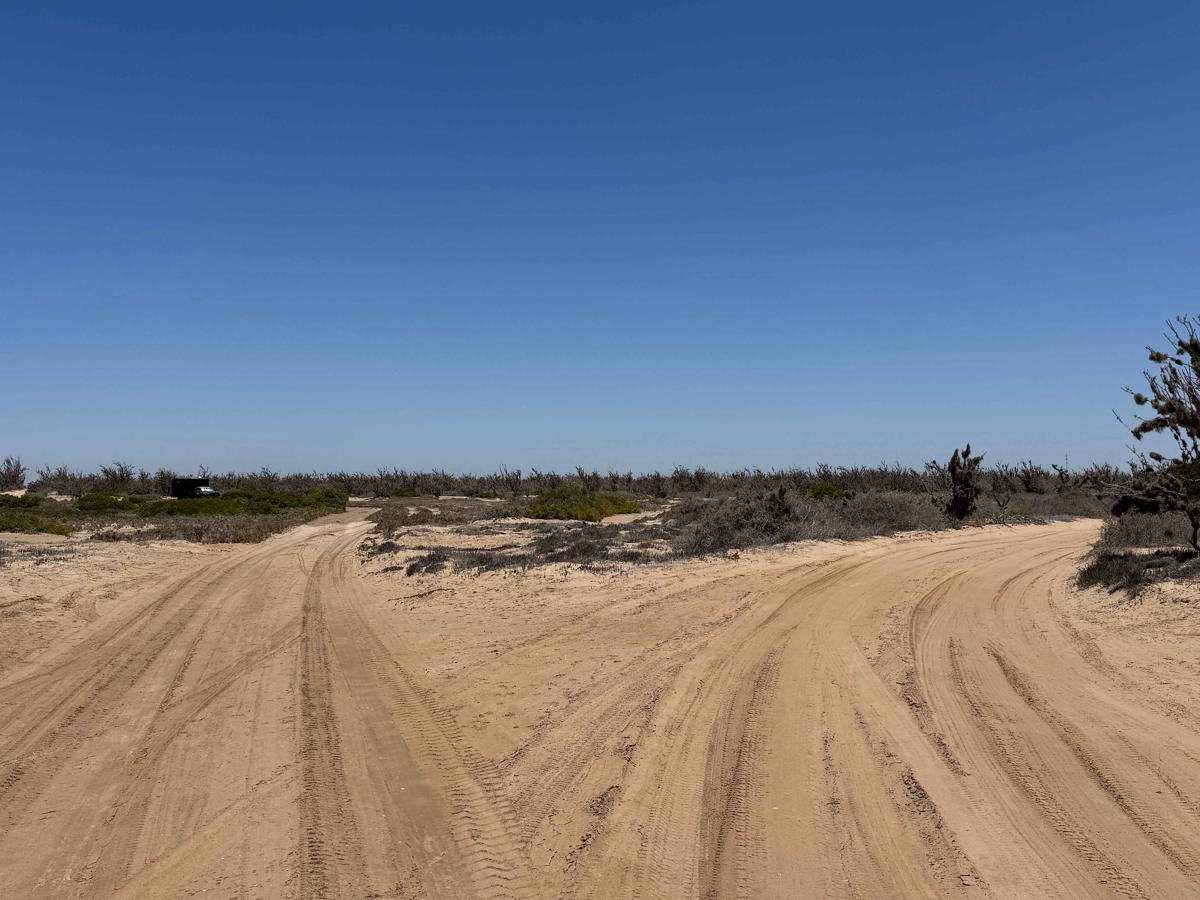 North of La Florida photo 5