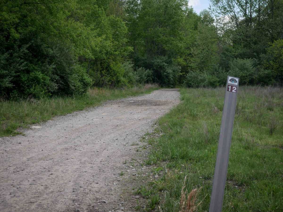 PC 12 trail photo