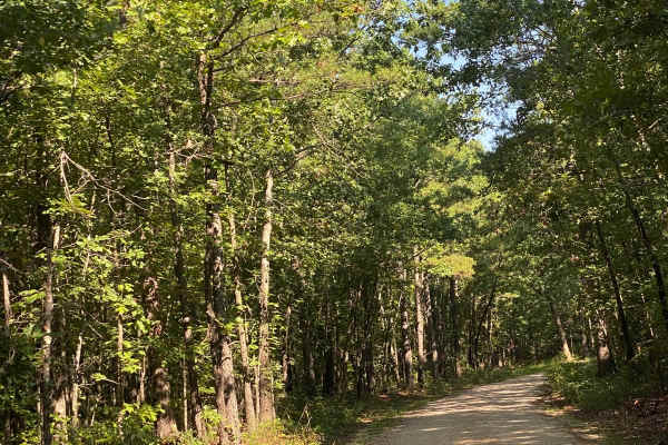 Bass River Scenic Route