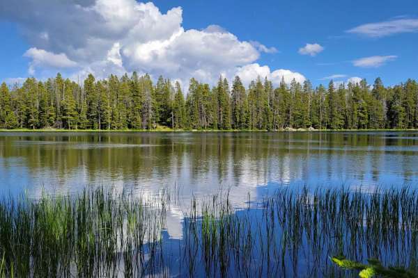 Duncan Lake
