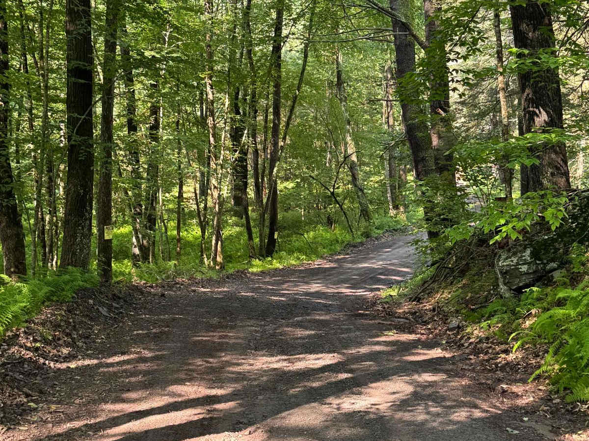 River Road photo 6