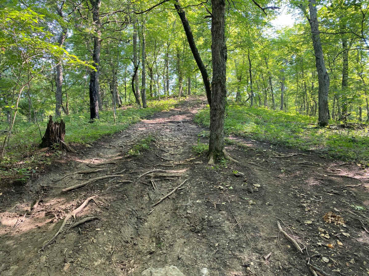 East Bypass trail photo