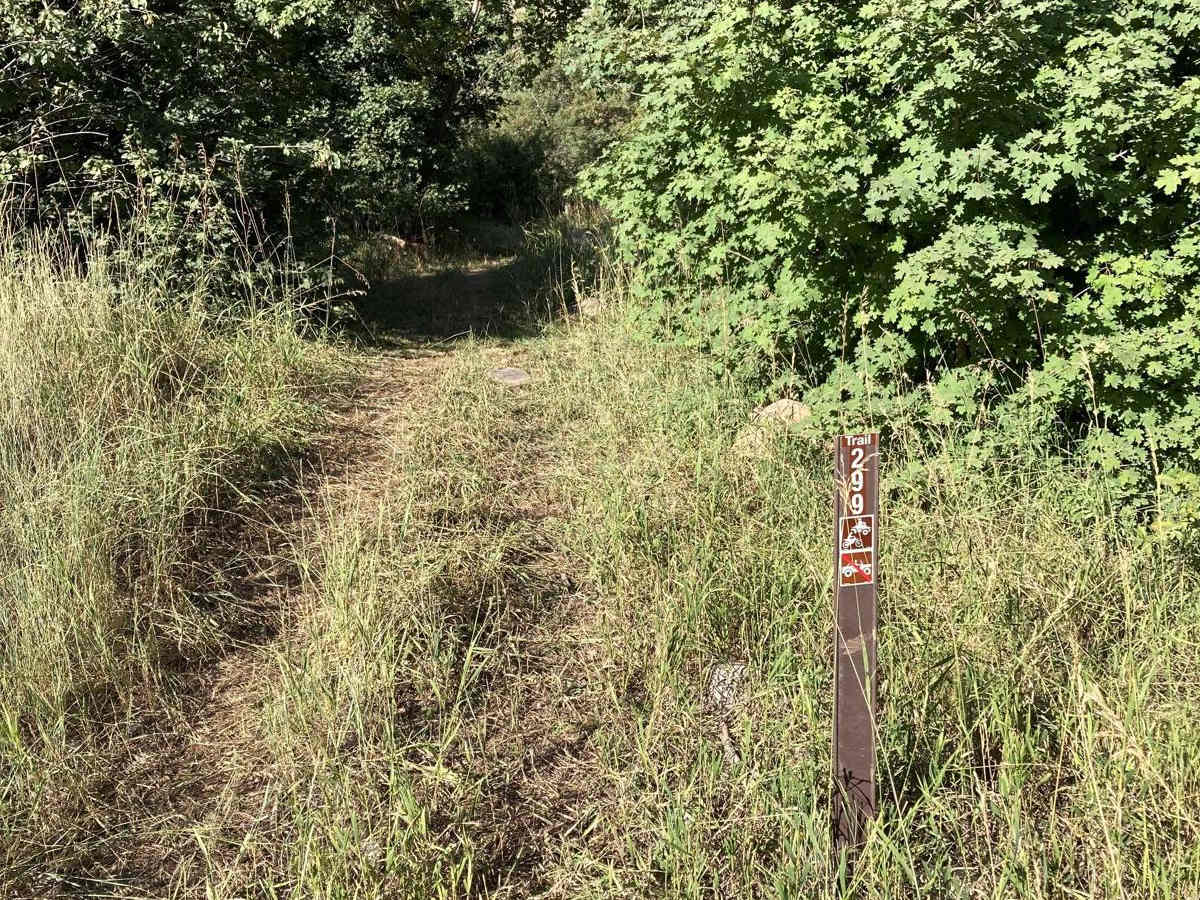 Lower Cub River Trail trail photo