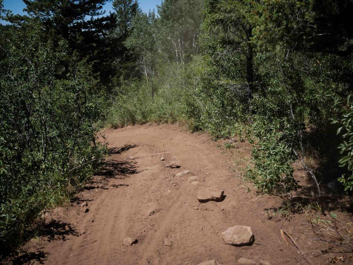 Dry Fork - Meadow Springs #5226 photo 6