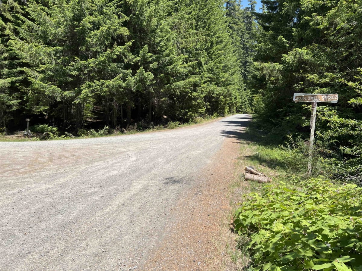 Aufderheide to Windy Pass photo 5