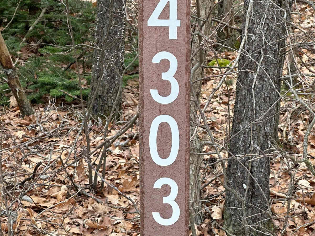 FS 4303 Part 2 trail photo
