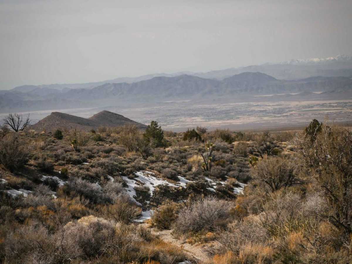 Joshua Tree Wash photo 3
